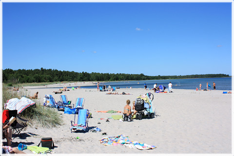 Gotland, Bo vid havet - foto: 0