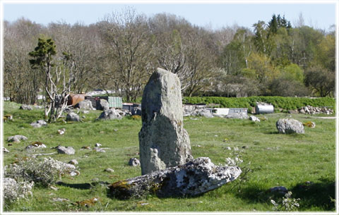 Gotland, Krklings stainkllingar - foto: Bernt Enderborg