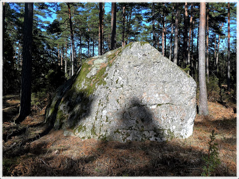 Silverstenen i Lojsta - foto: 0