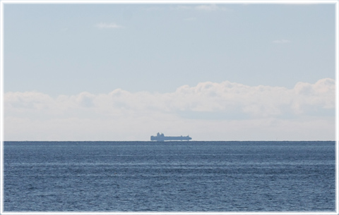 Gotland, en bl 