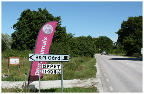 Gotland, B&M gård,  djurpark - foto: Bernt Enderborg