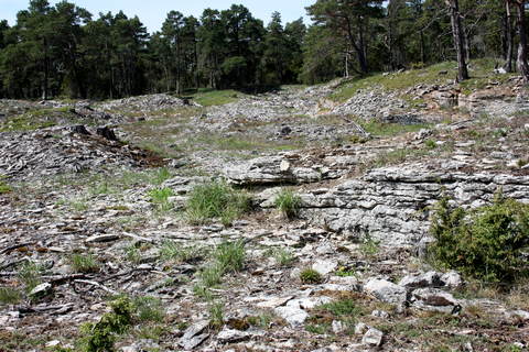 Stenbrott på hällmarkerna i Alskog