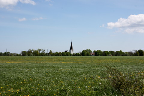 Jordbruk i Alskog