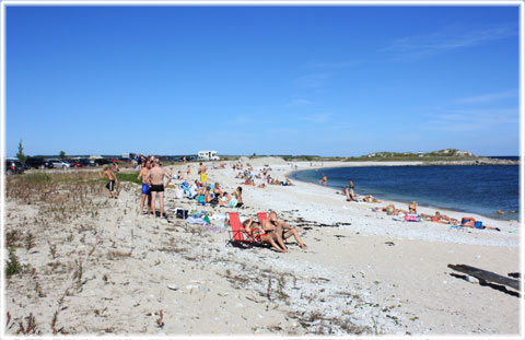 Gotland, Smöjen - foto: Bernt Enderborg