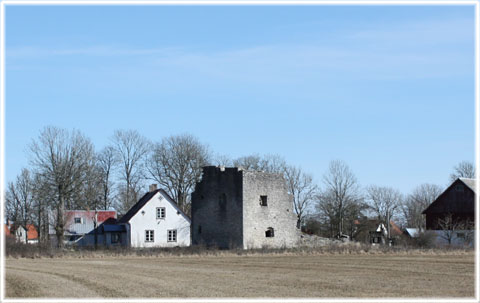 Gotland, Bringes i Norrlanda - foto: Bernt Enderborg