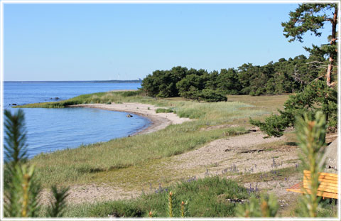 Vykort Gotland