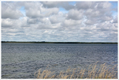 Gotland, Nybro bad - foto: Bernt Enderborg