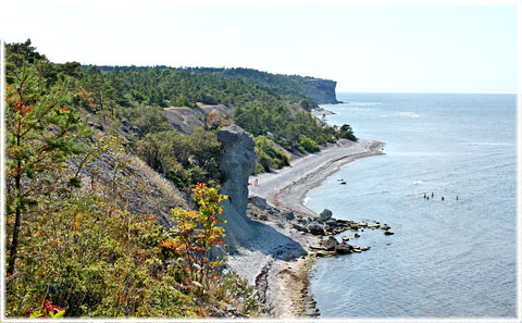 Rövar Lilja - foto: Bernt Enderborg