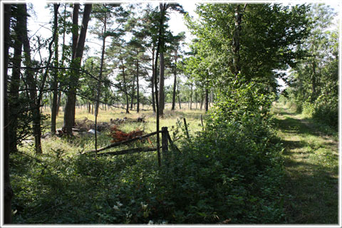 Natur- och kulturstigen vid Stavgard - foto: Bernt Enderborg