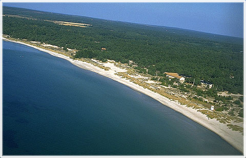 Sandstrand på Gotland