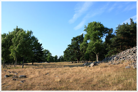 Ullviar i Eskelhem