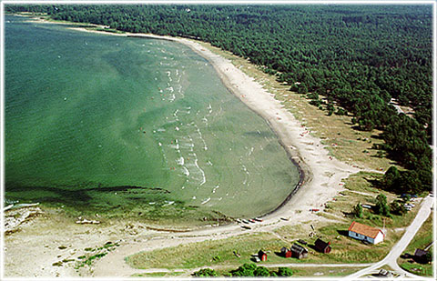 Ekeviken på Fårö - foto: Björn Pettersson