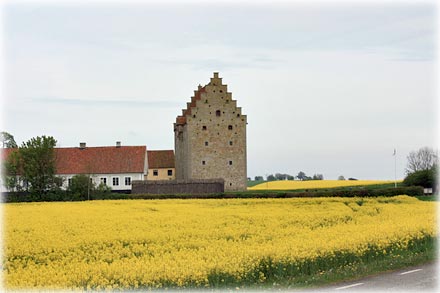 Glimmingehus - ett gutniskt hus i Skåne - foto: Bernt Enderborg