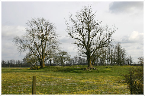 Gotland, Kämpgrav i Eskelhem - foto: Bernt Enderborg