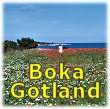 V�lkommen till Resestugan. Vi bokar Gotland.
